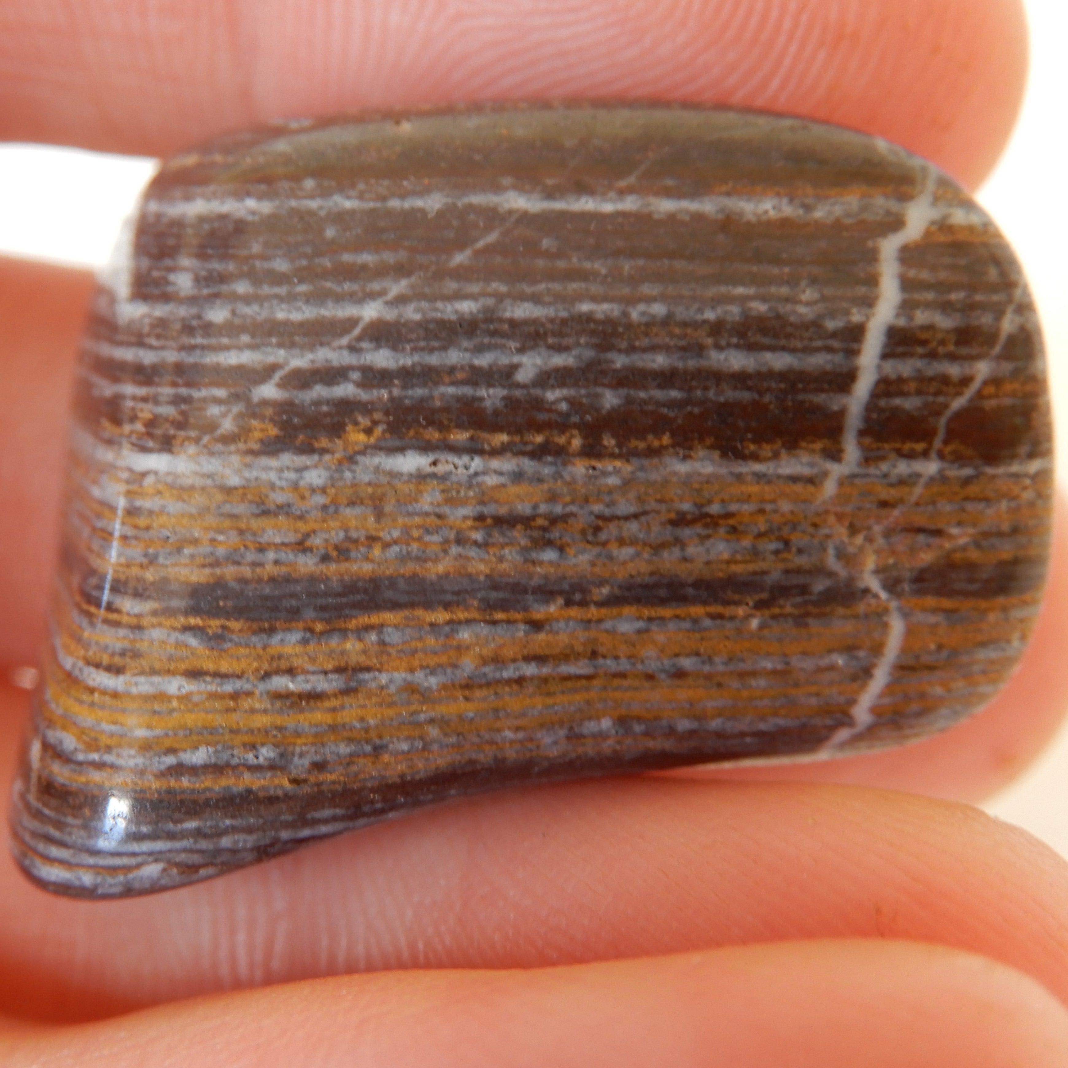 Banded Chert