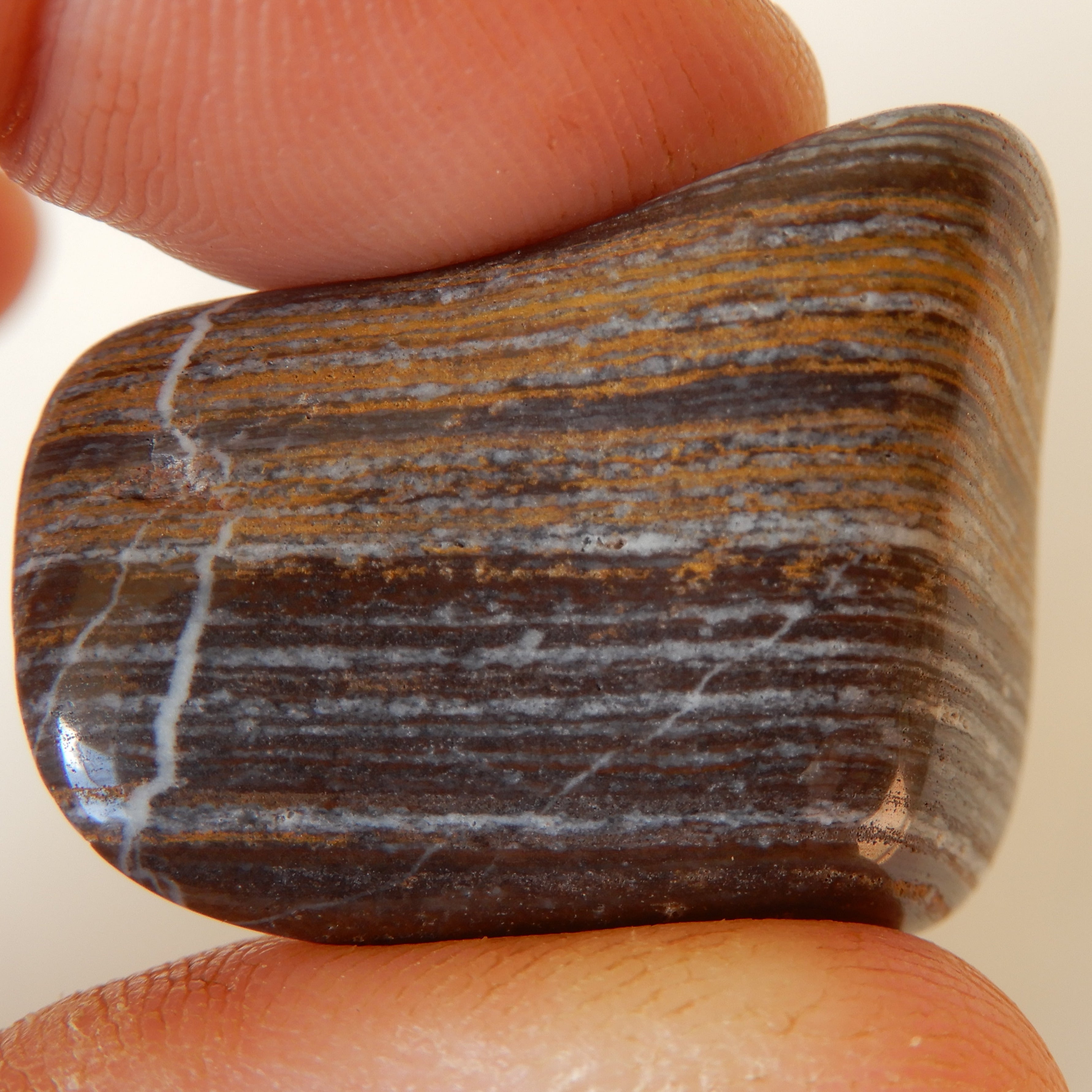 Banded Chert