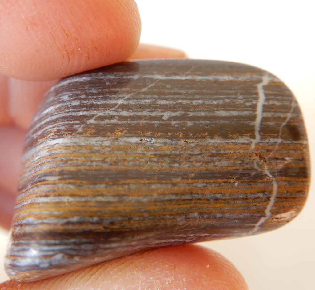 Banded Chert