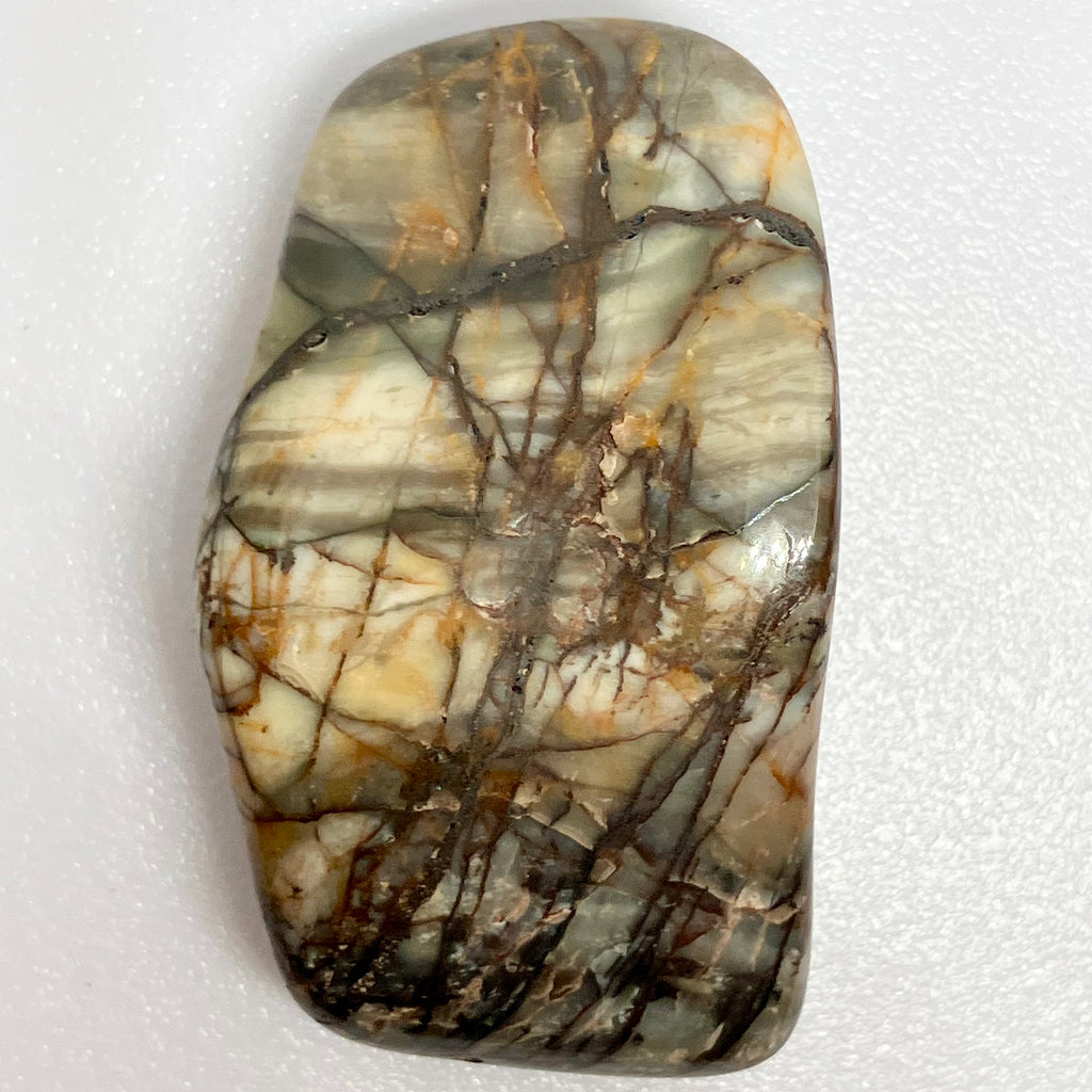Picasso Jasper