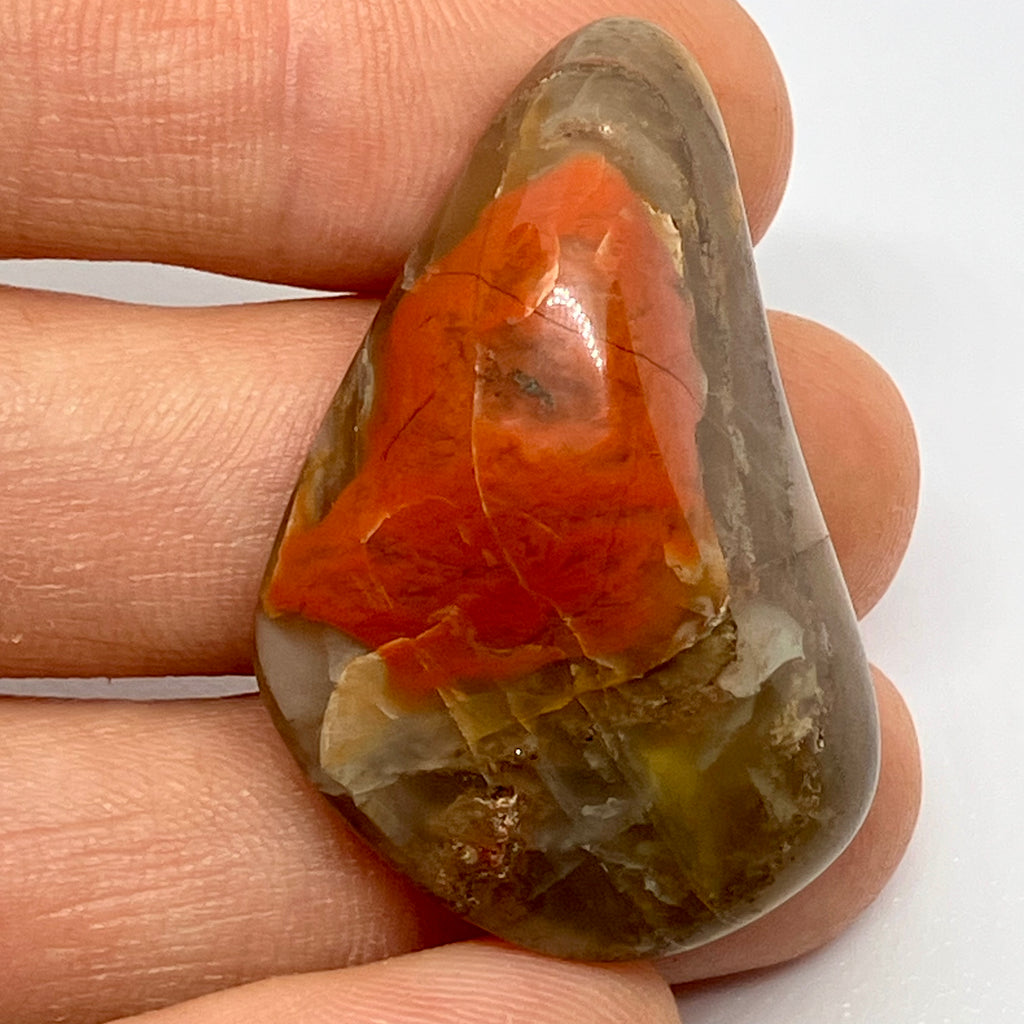 Jasper-Agate (Jaspagate)